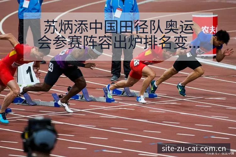 苏炳添中国田径队奥运会参赛阵容出炉排名变化与后续走势战术 - 足彩
