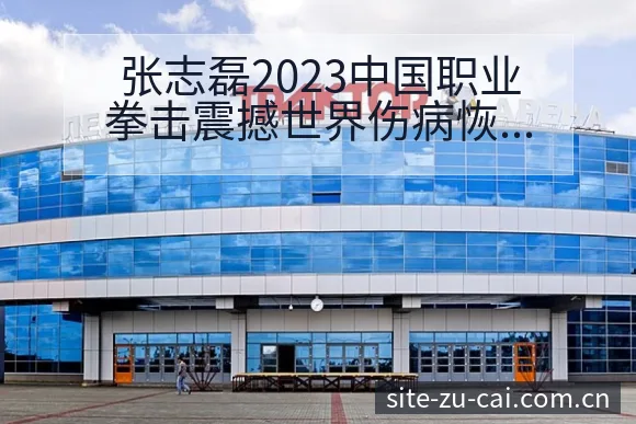 张志磊2023中国职业拳击震撼世界伤病恢复对赛程影响数据 - 足彩