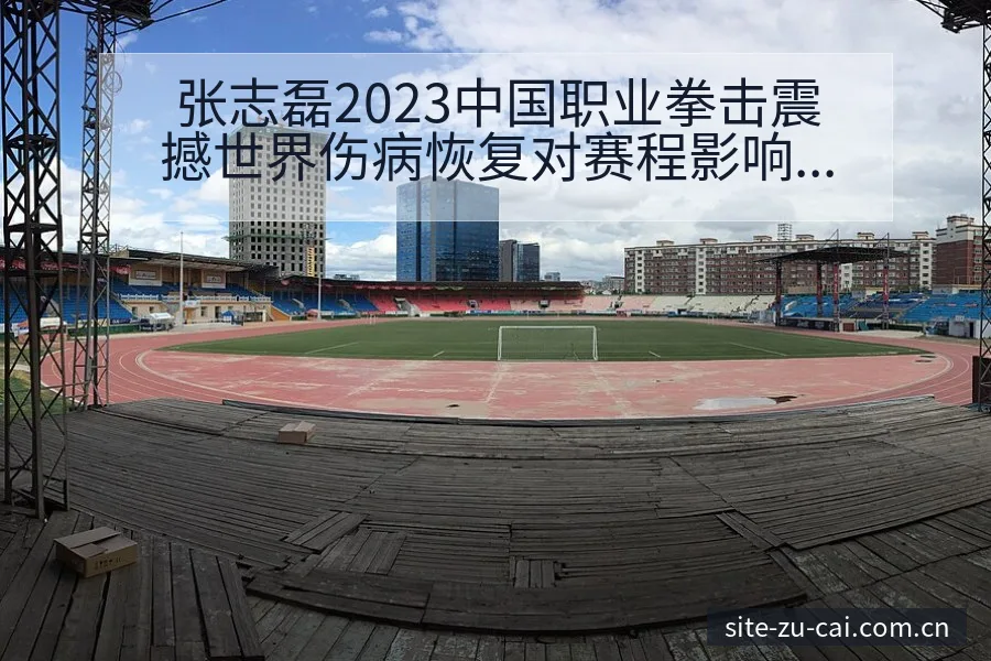 张志磊2023中国职业拳击震撼世界伤病恢复对赛程影响数据 - 足彩
